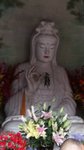 紫竹林，主要有"不肯去观音院"、潮音洞、紫竹林、光明池等景点，南有观音眺，对岸可见洛迦山岛。