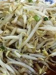 科學芽菜，肥肥短短，聽說本土馬來人不吃的！