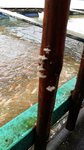 20170502_141901