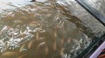 IMG-20170502-WA0041