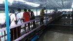 IMG-20170502-WA0073