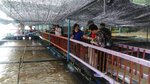IMG-20170502-WA0078