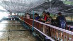 IMG-20170502-WA0082
