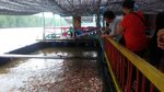 IMG-20170502-WA0083