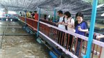 IMG-20170502-WA0086