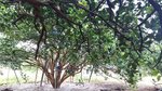 20170503_101133