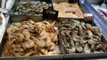 Allergy to shrimp,不掂， 影相留念也一樣