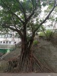 IMG_20201113_123416