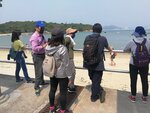 岸上觀 2