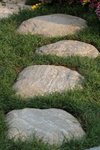 IMG_1171