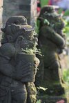 IMG_1192