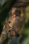 IMG_1202