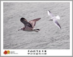 IMG_5613 copy