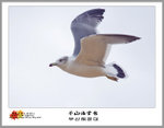 IMG_6014 copy