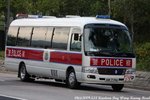 AM 7196 [PTUA 2/2]