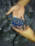 特別藍圈