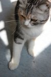 IMG_4010