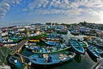 _DSC0983a