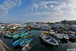 _DSC0991a