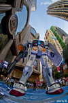 _DSC4979a