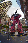 _DSC4991a