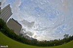 _DSC5246a