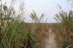 IMG_9768