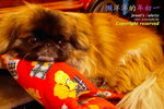 _SAM4824