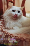_SAM4861