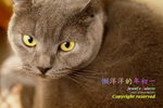 _SAM4868