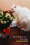 _SAM4878