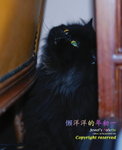 _SAM4891