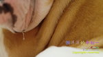_SAM4956