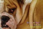 _SAM4962