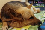 _SAM4992
