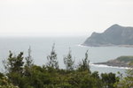 _MG_4292