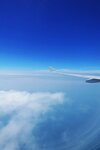 10.DSC02971