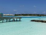 1.IMG_1518a