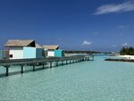 2.IMG_1356a