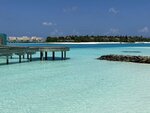 2.IMG_1517a