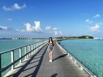1.IMG_1593z