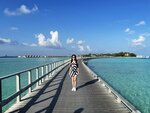 1.IMG_1593zz