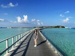 1..IMG_1596A