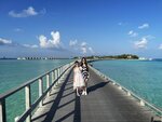 1.IMG_1602A