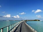 1.IMG_1653a