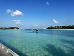 1..IMG_1654a