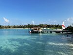 1.IMG_1655