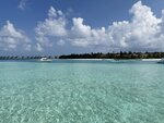 2.IMG_1531a