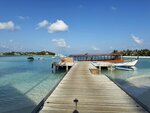 2.IMG_1656