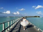3.IMG_1644a